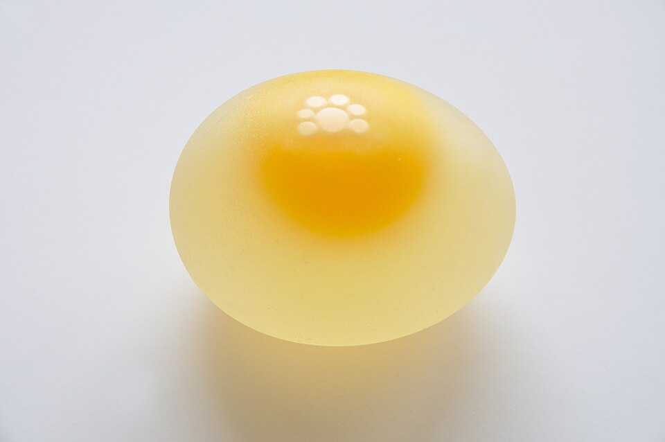 Eggs
