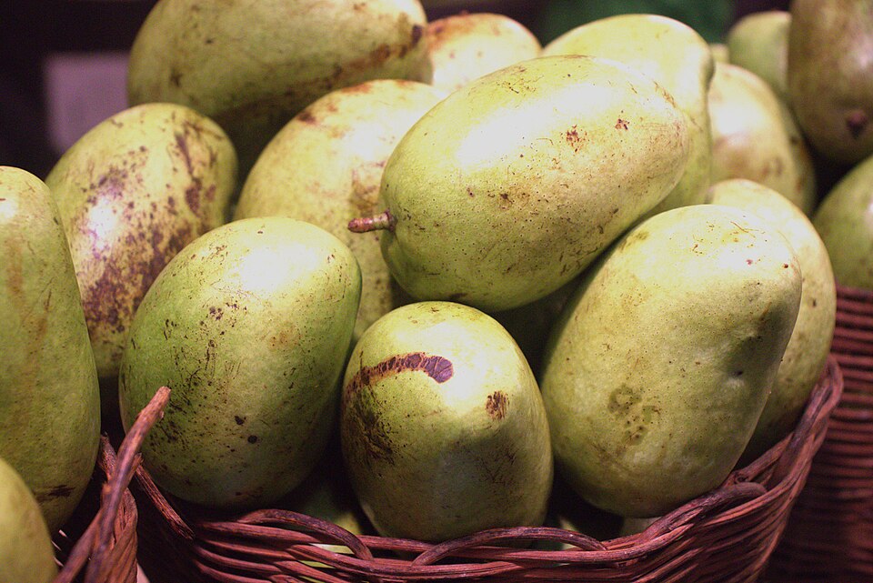 Mango