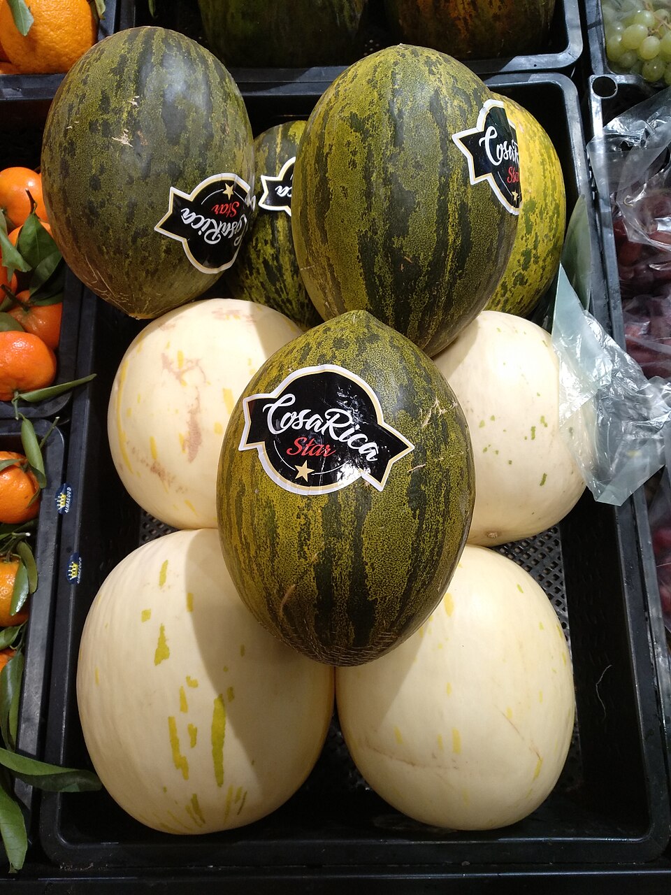 Photograph of fresh Honeydew Melon