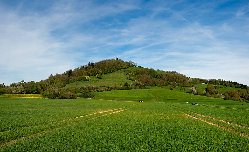 Einkorn