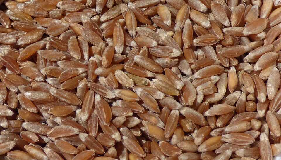 Khapthi