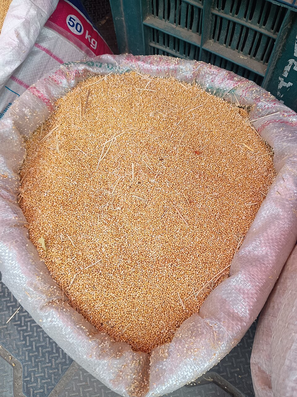 Millet