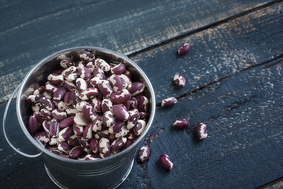Anasazi Beans
