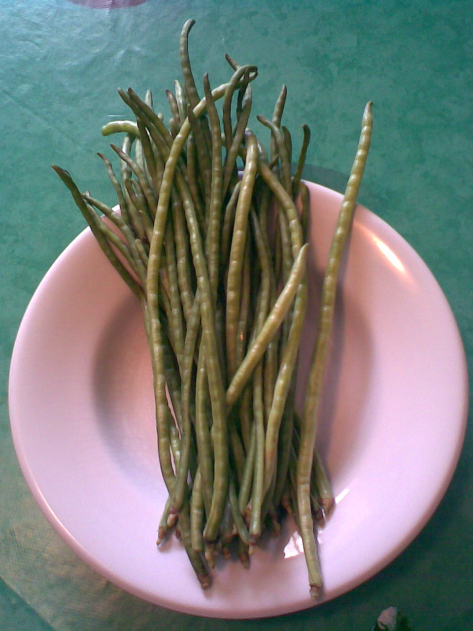 Asparagus Beans