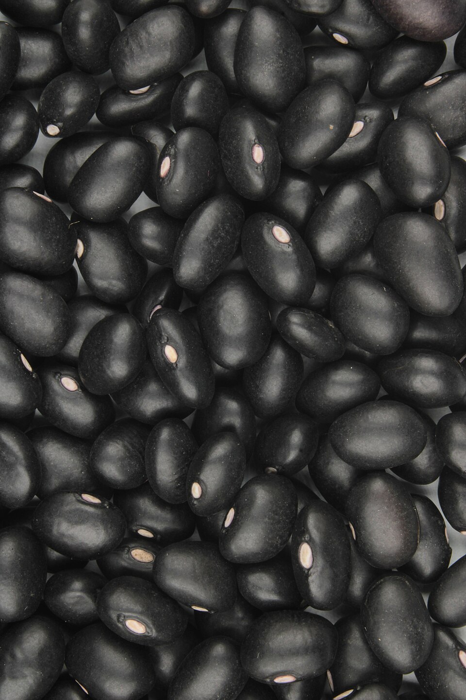 Black Beans
