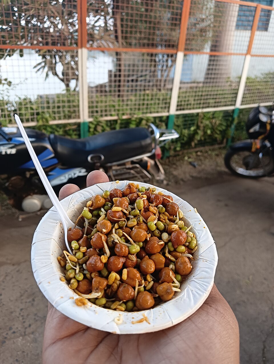 Black Chickpeas