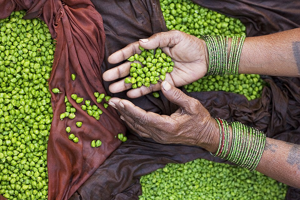 Chickpeas