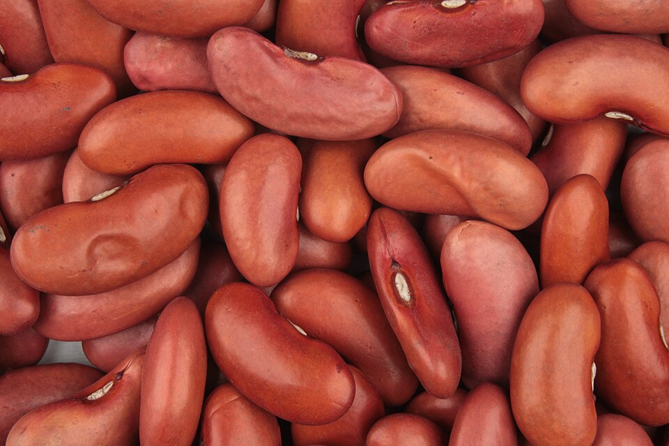 Kidney Beans (Red)