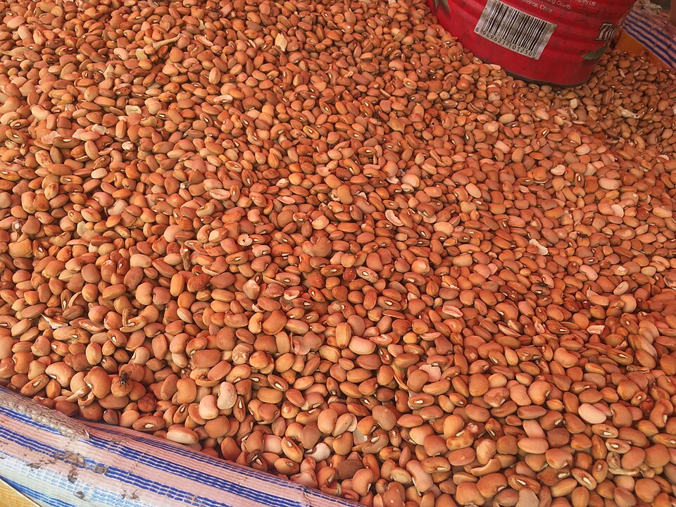 Lablab Beans