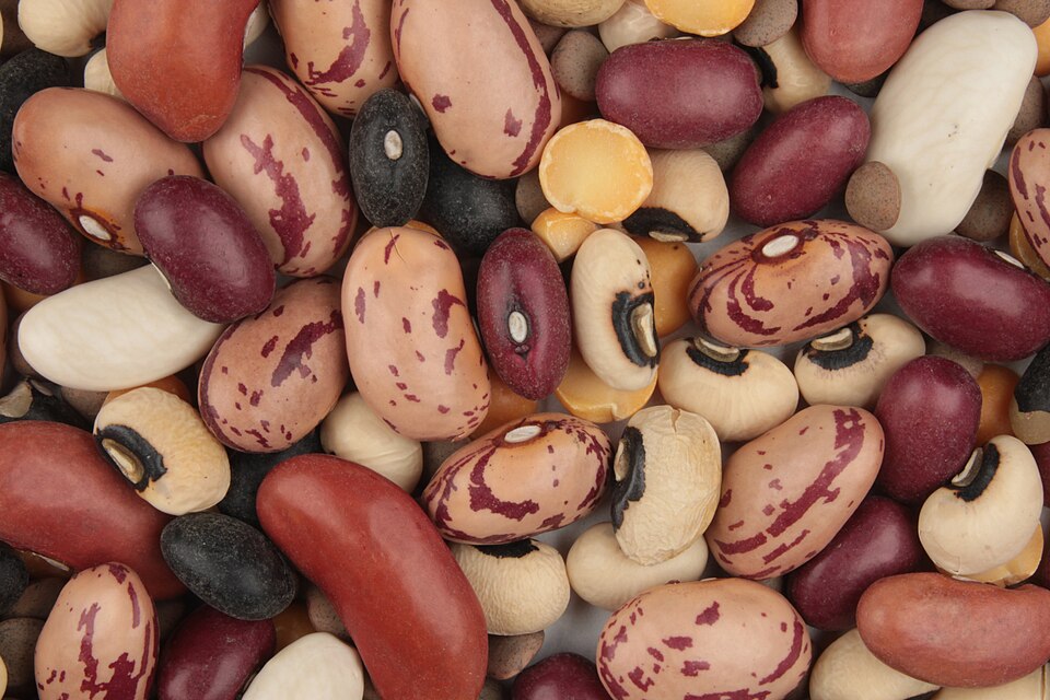 Red Lentils