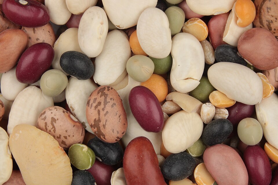 Lima Beans