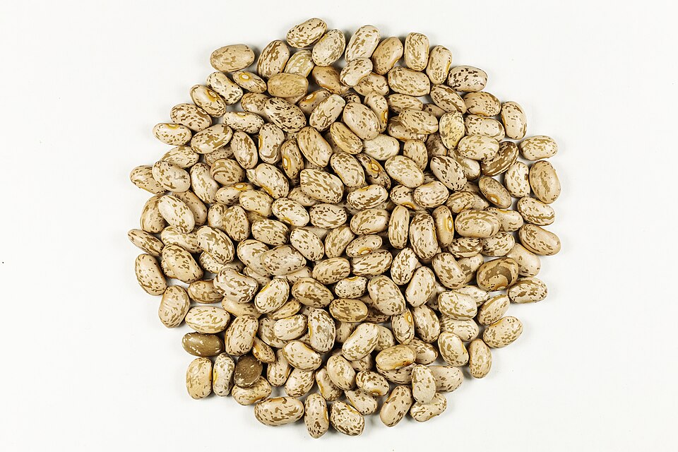 White Beans (Cannellini)