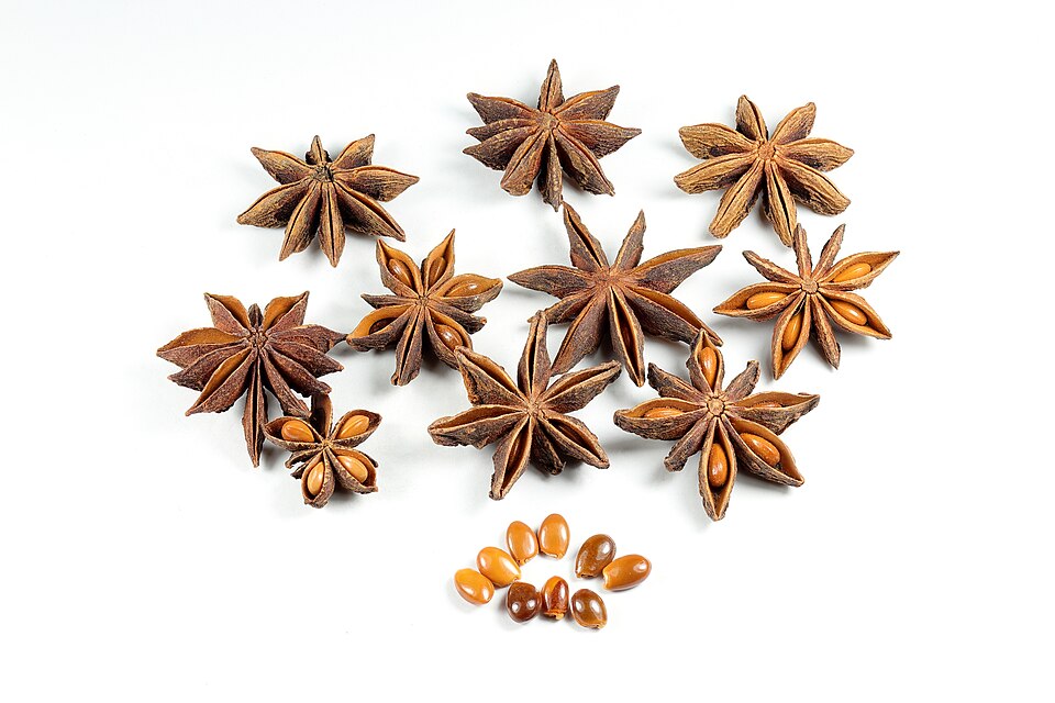 Anise Seed