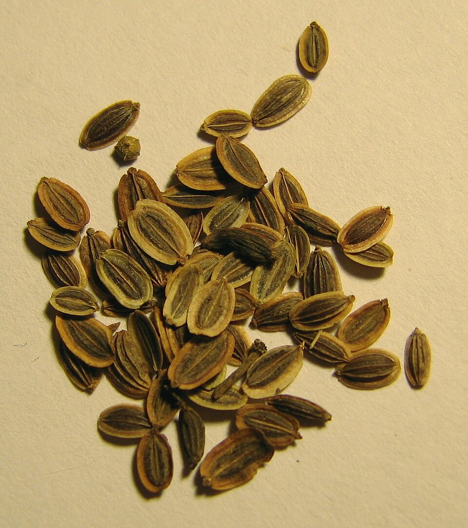 Dill Seed