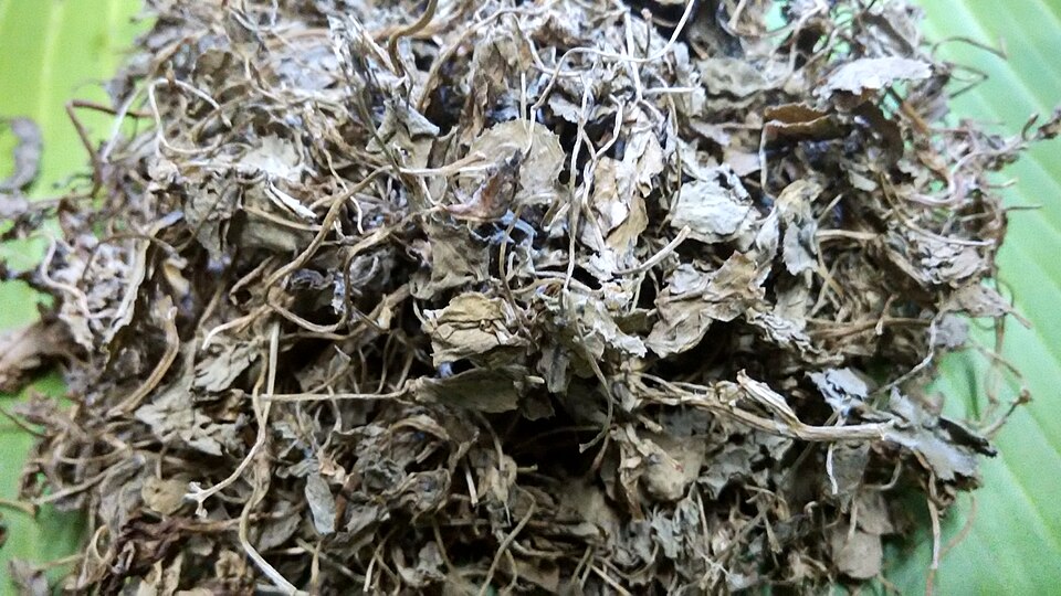 Kasuri Methi