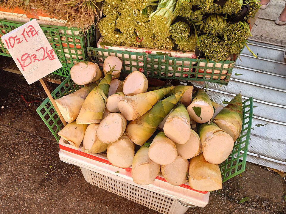Bamboo Shoots