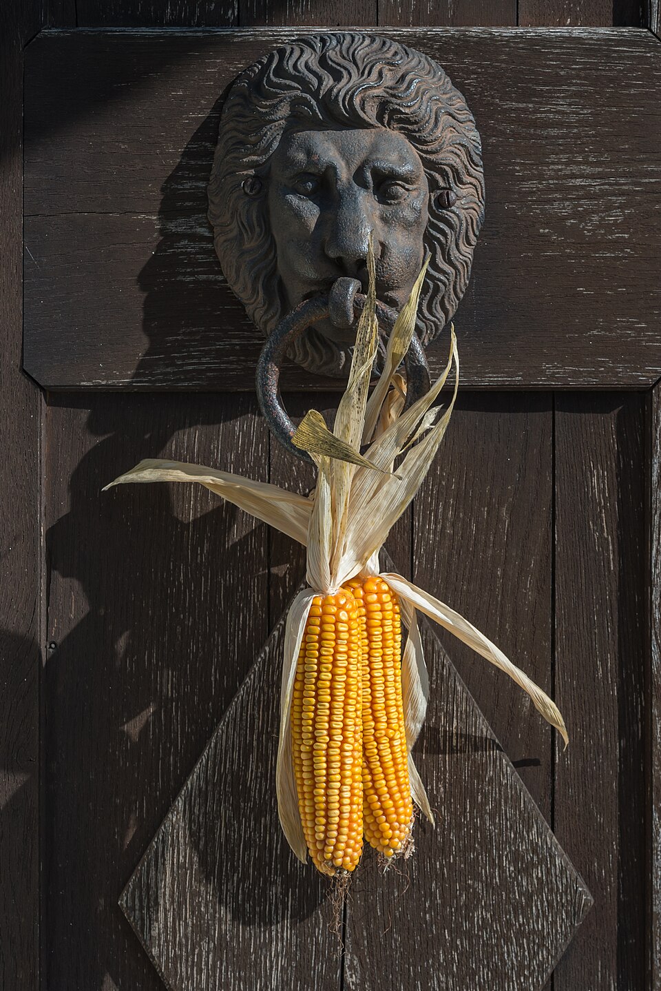 Corn (Sweet)