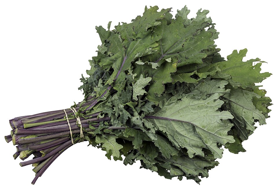 Photograph of Kale